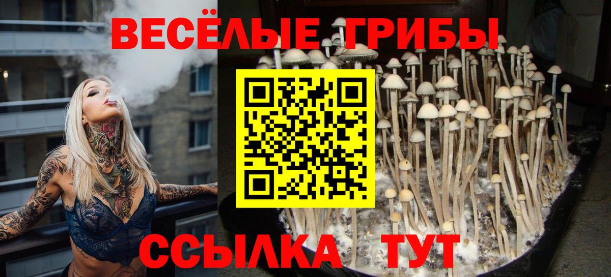 Галлюциногенные грибы Cubensis  Вход с VPN  Шарыпово 